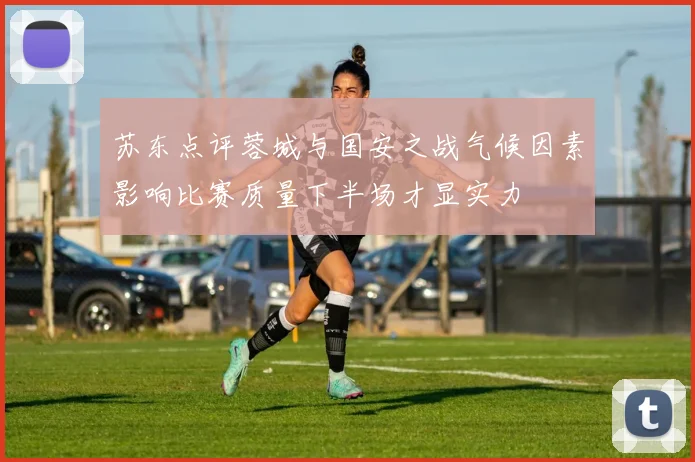 苏东点评蓉城与国安之战气候因素影响比赛质量下半场才显实力